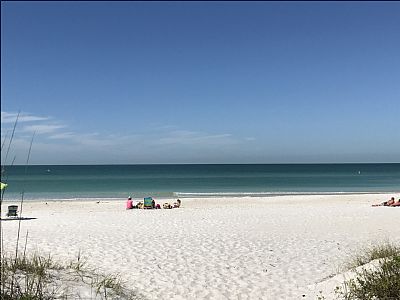 ccorozco profile photo