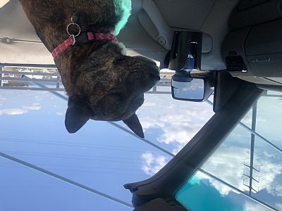 Mail2scout profile photo