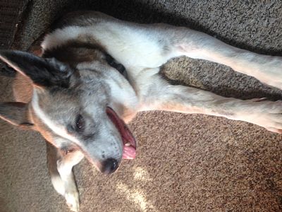 Bcayton profile photo