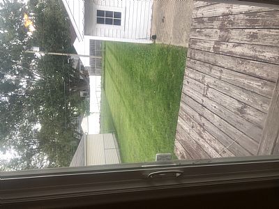 amycourt2 profile photo