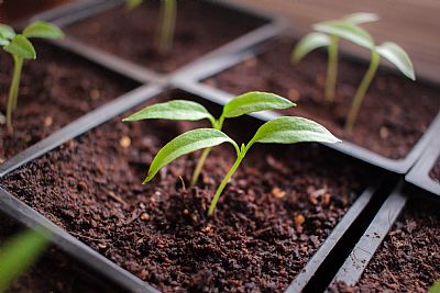 3333siera profile photo