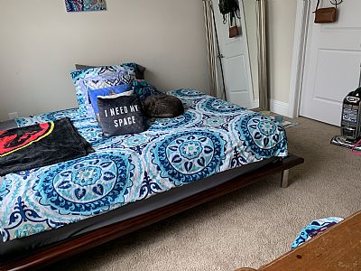 amandamortiz73 profile photo