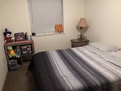 JayShatara profile photo