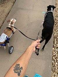 mattlujan93 profile photo