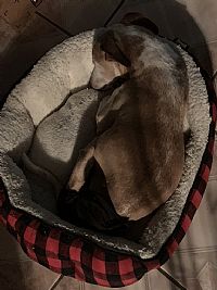 mattlujan93 profile photo