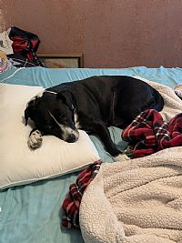 mattlujan93 profile photo