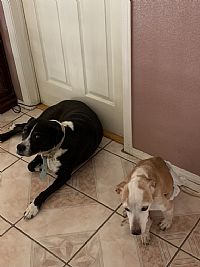 mattlujan93 profile photo