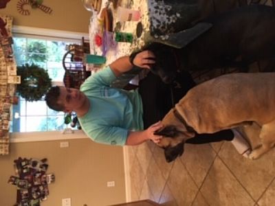 mediumrehrer profile photo