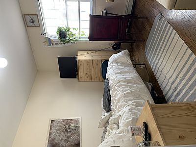 MarkShapiro5 profile photo