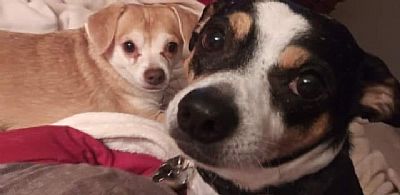 lesaguirre profile photo