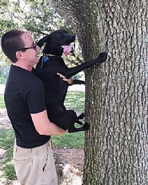 Warnerxc profile photo