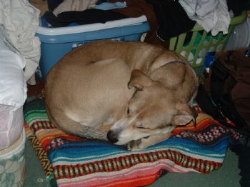 cmurph10 profile photo