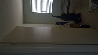 Beach11 profile photo