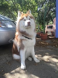 jakebarry profile photo