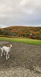 Ancoustenis17 profile photo