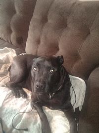 Kasperking profile photo