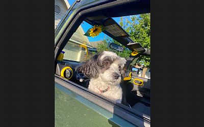 lexihood33 profile photo