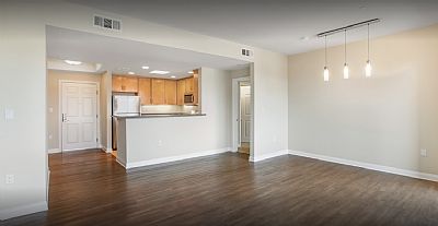 bridgedavis profile photo