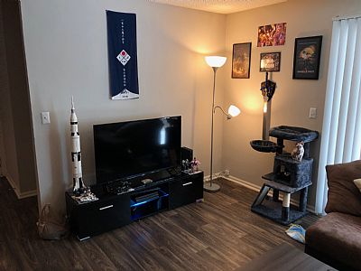 USAFLovelace profile photo