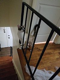 Ary172000 profile photo