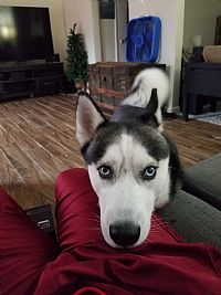 Ary172000 profile photo