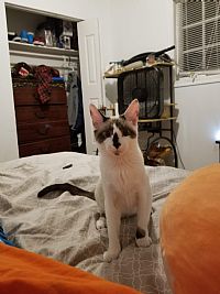 Ary172000 profile photo