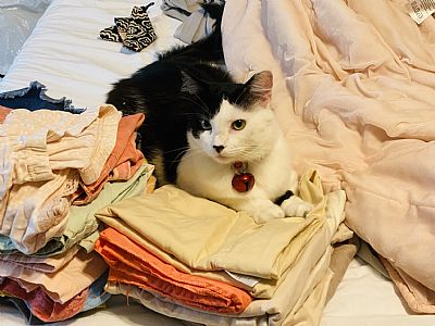 maryewhite.rx@yahoo.com profile photo