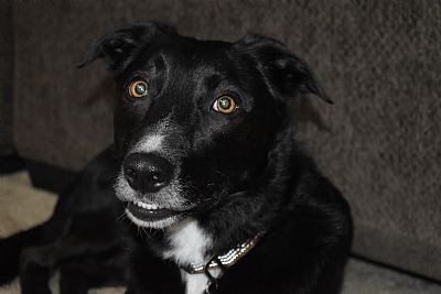 Haileey profile photo