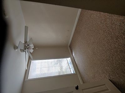 adapen profile photo