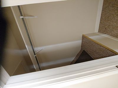 adapen profile photo