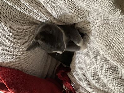 robertgg profile photo