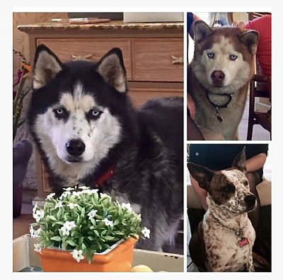 bszampruch profile photo