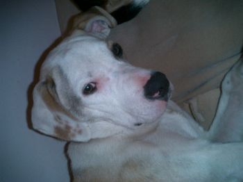 Sofi profile photo
