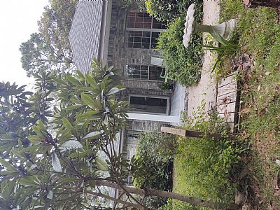 Debkrieger profile photo