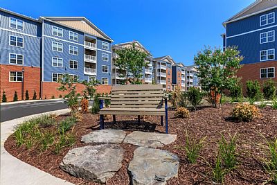 amcox1995 profile photo