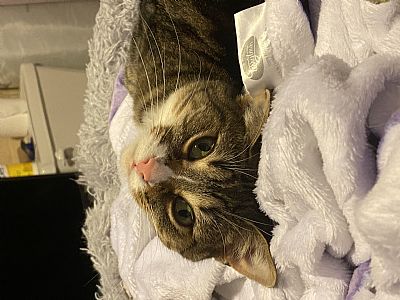 lilu8692@gmail.com profile photo