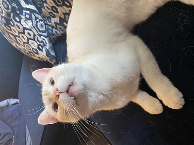 lilu8692@gmail.com profile photo