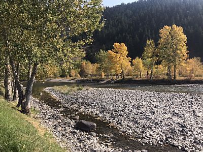 Julsvogt profile photo