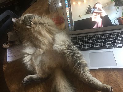 sonamusic profile photo