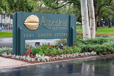 djo1997 profile photo