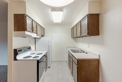 djo1997 profile photo