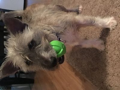 SueABC profile photo