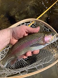 Michael3670 profile photo