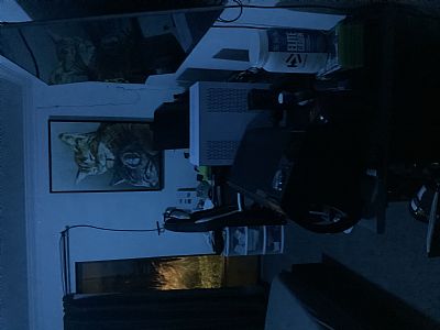 Danny2790 profile photo