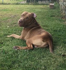 Babytwitchh profile photo