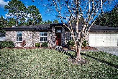 bjpinto1 profile photo