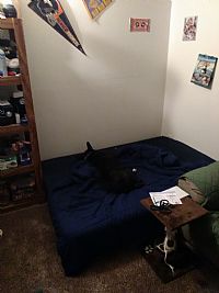 Kalley42 profile photo