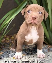 ericjdavidson profile photo