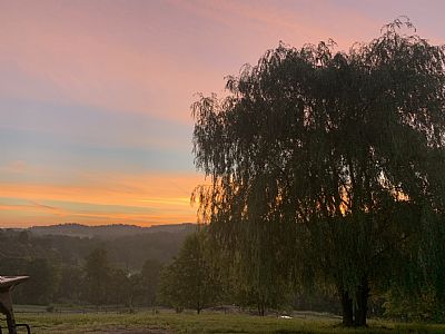 Chalrybrown profile photo