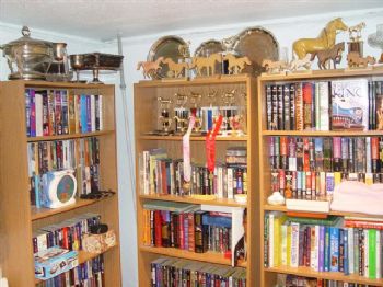 ringle profile photo